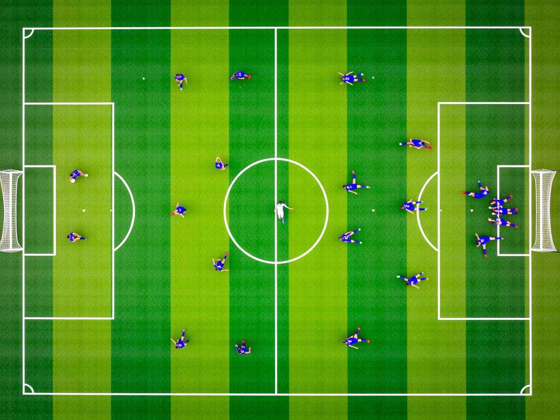 开云体育app入口-体育新闻中心推动基层体育数字内容发展计划，体育 数字化  第1张